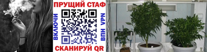 Где продают наркотики Усть-Джегута Бутират  Галлюциногенные грибы  LSD-25  Мефедрон  Alpha-PVP  Бошки Шишки 