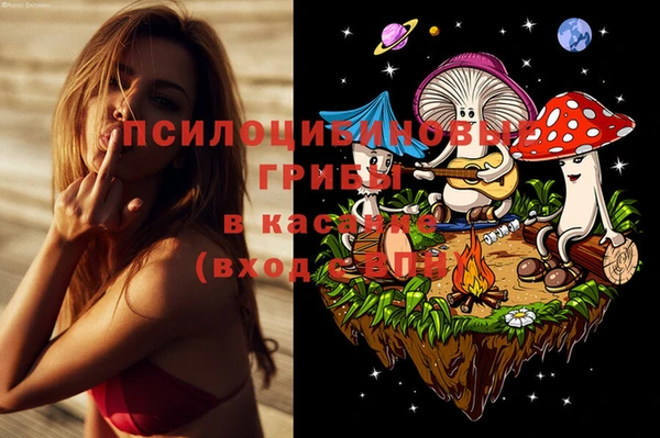СК Арсеньев
