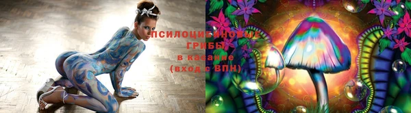ГАЛЛЮЦИНОГЕННЫЕ ГРИБЫ Аркадак