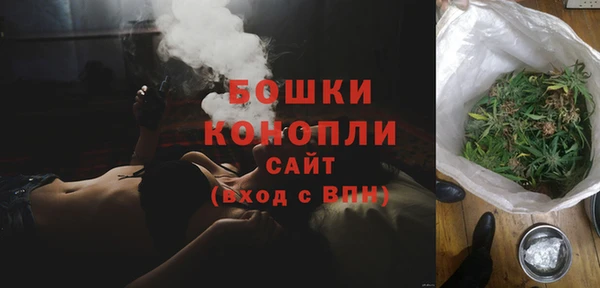 ГАЛЛЮЦИНОГЕННЫЕ ГРИБЫ Аркадак
