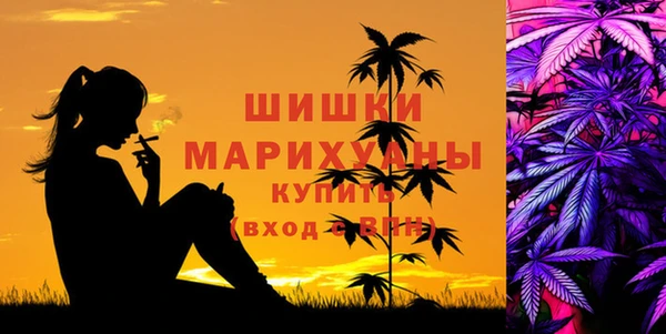 СК Арсеньев