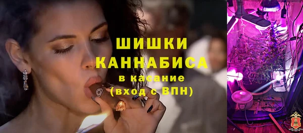 ГАЛЛЮЦИНОГЕННЫЕ ГРИБЫ Аркадак