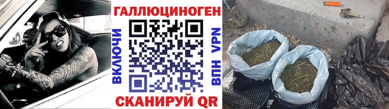 Галлюциногенные грибы прущие грибы Усть-Джегута
