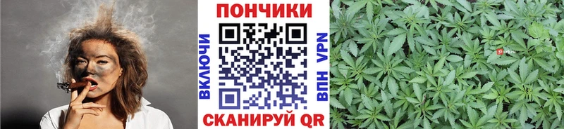 Каннабис Ganja  магазин    Усть-Джегута 